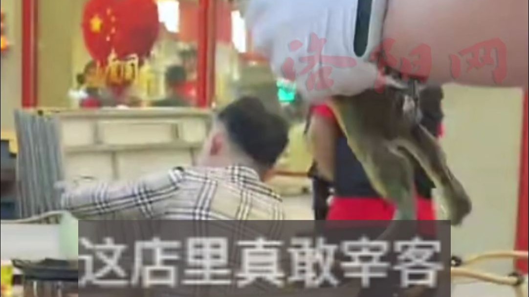 I took my pet frog to eat hot pot and was almost taken away by the clerk as food. The clerk: Isn’t it the food in the store? Bullfrog: Do you want to rip off customers? The client: I have raised it for more than a year and take it wherever I go. Netizen: The frog is on the dining table today, not on the plate.