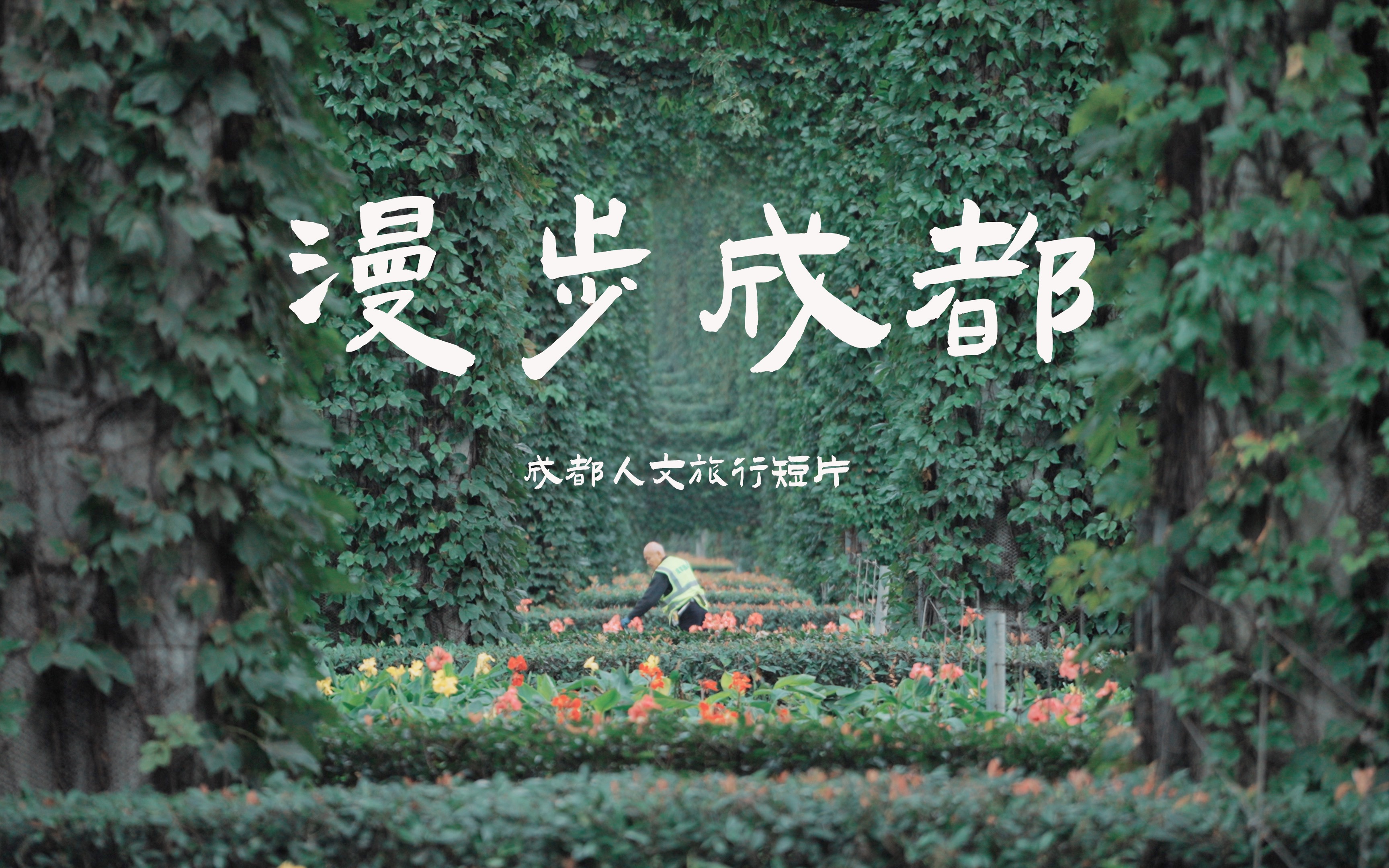 Chengdu cultural travel short film [Walking in Chengdu]