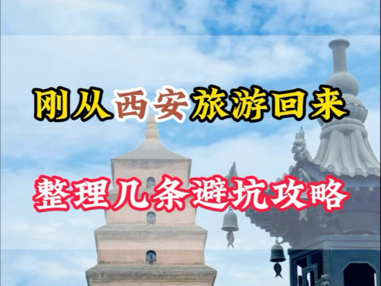 When I brought my parents back from Xi'an, I realized that I had been cheated #西安Travel Guide #西安游 #大 Tang Sleepless City #terracotta warriors and horses